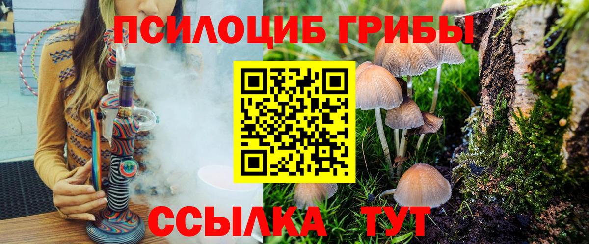 Галлюциногенные грибы мицелий  Вход с VPN  Братск 